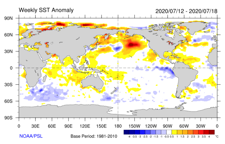 2020 North Pacific Warmth